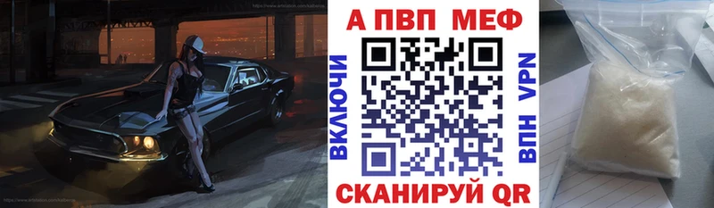 дарк нет какой сайт Каргополь Альфа ПВП крисы CK