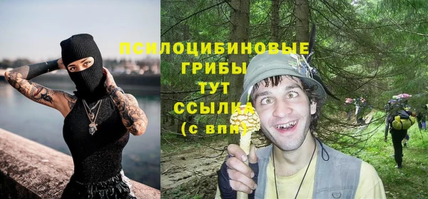 трава Абдулино